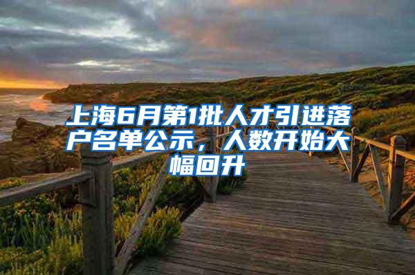 上海6月第1批人才引进落户名单公示，人数开始大幅回升