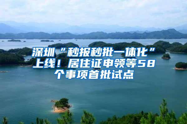 深圳“秒报秒批一体化”上线！居住证申领等58个事项首批试点