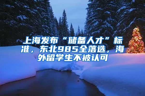 上海发布“储备人才”标准，东北985全落选，海外留学生不被认可