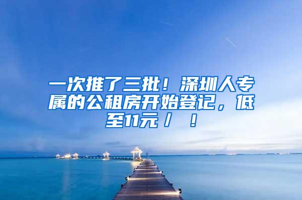 一次推了三批！深圳人专属的公租房开始登记，低至11元／㎡！