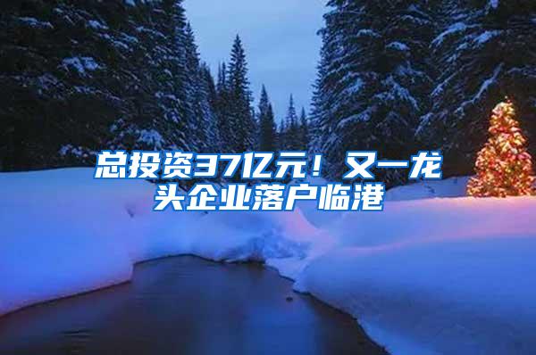 总投资37亿元！又一龙头企业落户临港