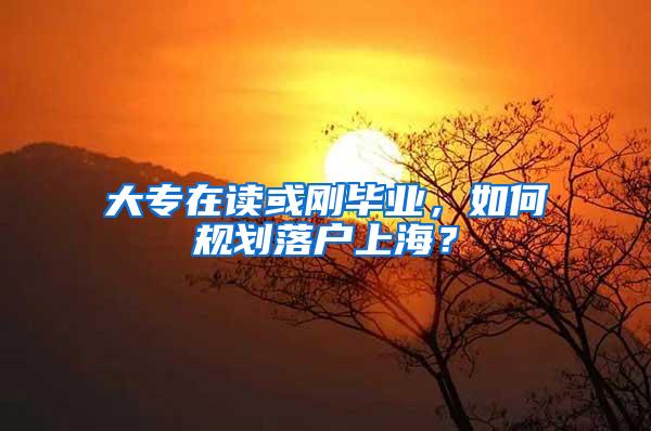 大专在读或刚毕业，如何规划落户上海？