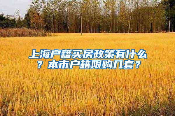 上海户籍买房政策有什么？本市户籍限购几套？