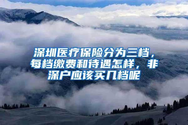 深圳医疗保险分为三档，每档缴费和待遇怎样，非深户应该买几档呢