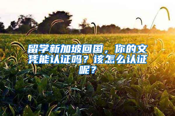 留学新加坡回国，你的文凭能认证吗？该怎么认证呢？