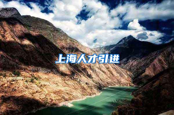 上海人才引进