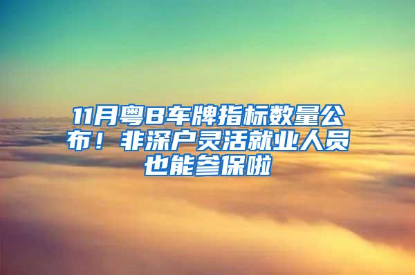 11月粤B车牌指标数量公布！非深户灵活就业人员也能参保啦