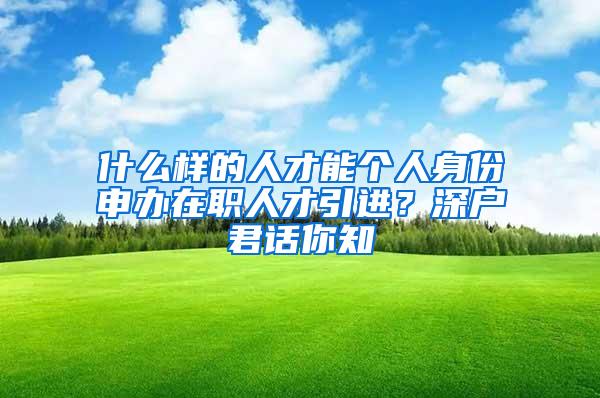 什么样的人才能个人身份申办在职人才引进？深户君话你知