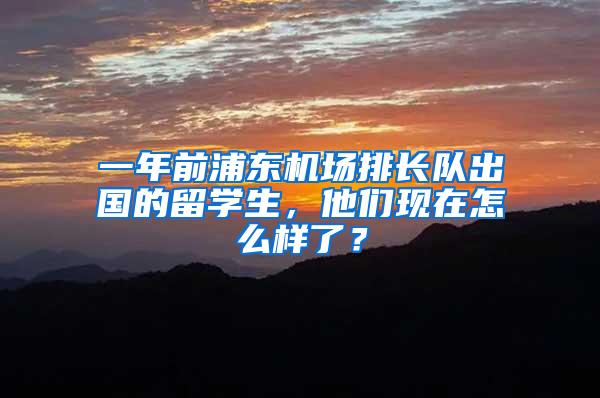 一年前浦东机场排长队出国的留学生，他们现在怎么样了？