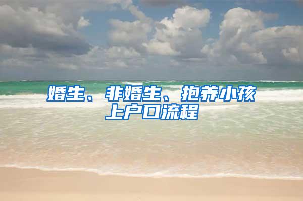 婚生、非婚生、抱养小孩上户口流程