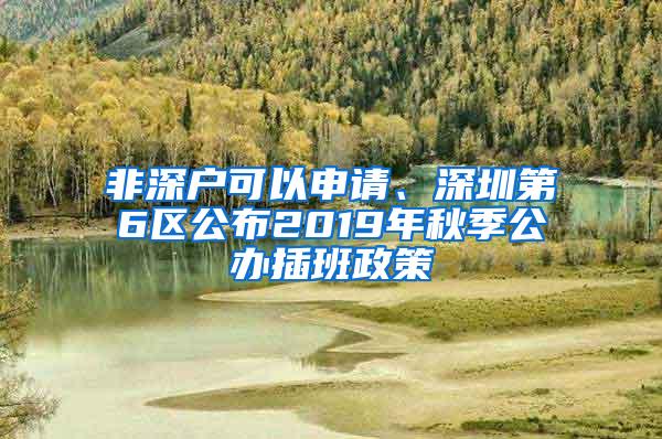 非深户可以申请、深圳第6区公布2019年秋季公办插班政策