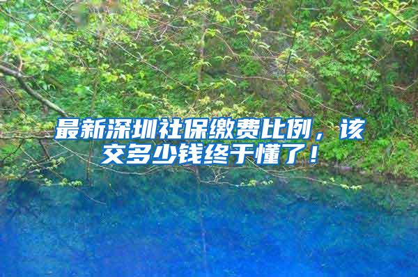 最新深圳社保缴费比例，该交多少钱终于懂了！