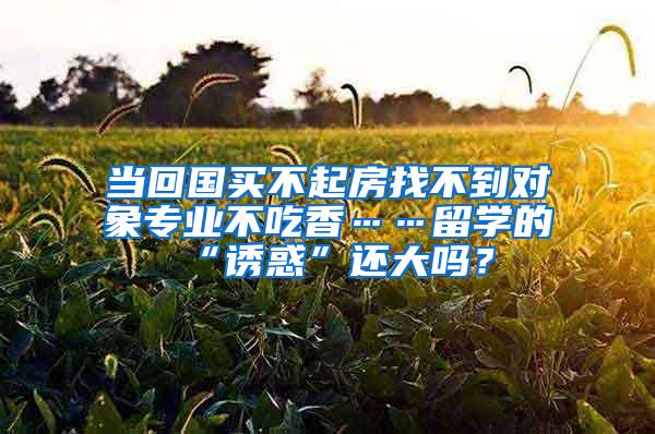 当回国买不起房找不到对象专业不吃香……留学的“诱惑”还大吗？