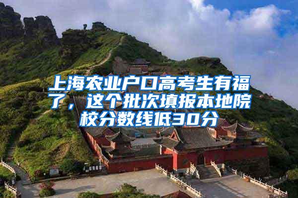 上海农业户口高考生有福了，这个批次填报本地院校分数线低30分