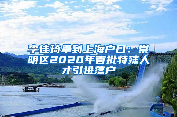 李佳琦拿到上海户口：崇明区2020年首批特殊人才引进落户