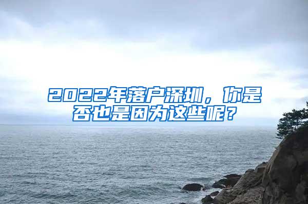 2022年落户深圳，你是否也是因为这些呢？