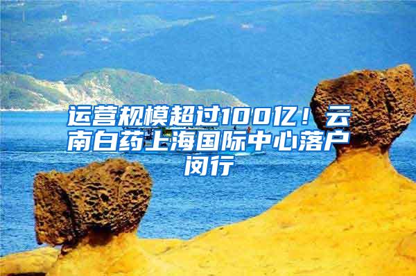 运营规模超过100亿！云南白药上海国际中心落户闵行