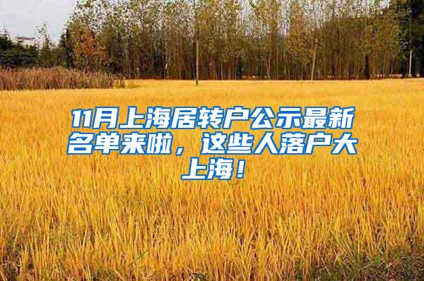 11月上海居转户公示最新名单来啦，这些人落户大上海！