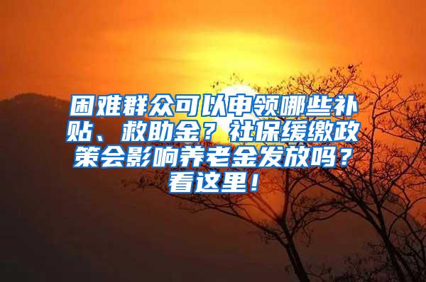 困难群众可以申领哪些补贴、救助金？社保缓缴政策会影响养老金发放吗？看这里！