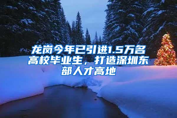 龙岗今年已引进1.5万名高校毕业生，打造深圳东部人才高地