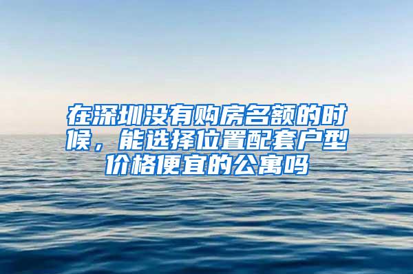 在深圳没有购房名额的时候，能选择位置配套户型价格便宜的公寓吗