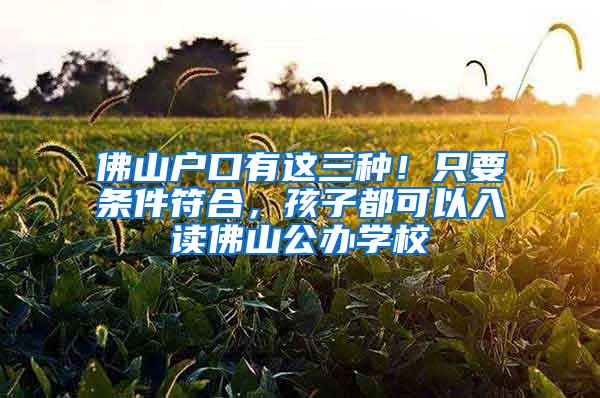 佛山户口有这三种！只要条件符合，孩子都可以入读佛山公办学校