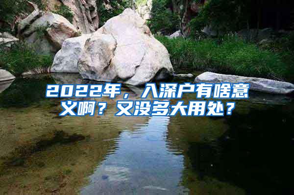 2022年，入深户有啥意义啊？又没多大用处？