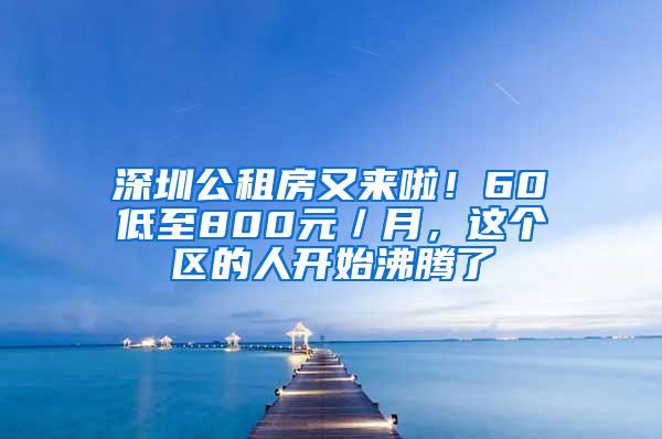 深圳公租房又来啦！60㎡低至800元／月，这个区的人开始沸腾了