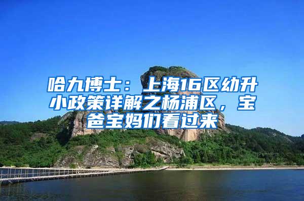 哈九博士：上海16区幼升小政策详解之杨浦区，宝爸宝妈们看过来