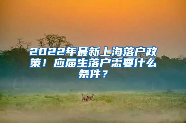 2022年最新上海落户政策！应届生落户需要什么条件？