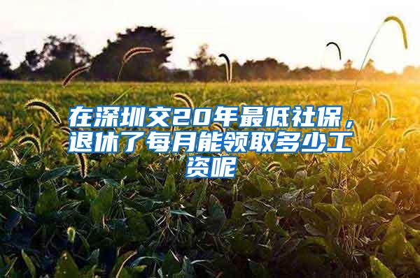 在深圳交20年最低社保，退休了每月能领取多少工资呢