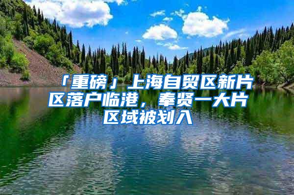 「重磅」上海自贸区新片区落户临港，奉贤一大片区域被划入