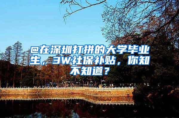 @在深圳打拼的大学毕业生，3W社保补贴，你知不知道？