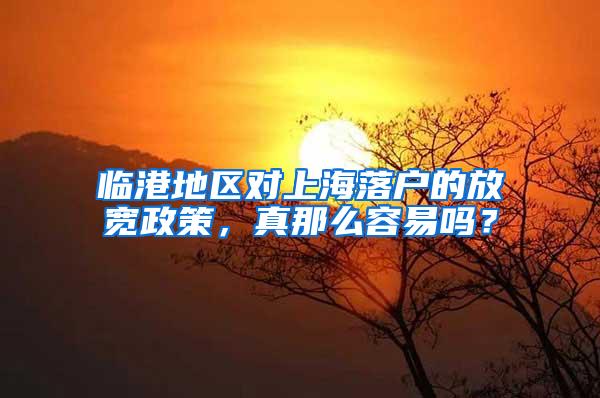 临港地区对上海落户的放宽政策，真那么容易吗？