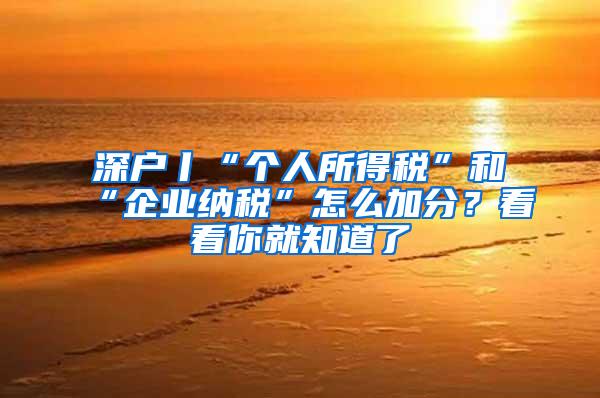 深户丨“个人所得税”和“企业纳税”怎么加分？看看你就知道了