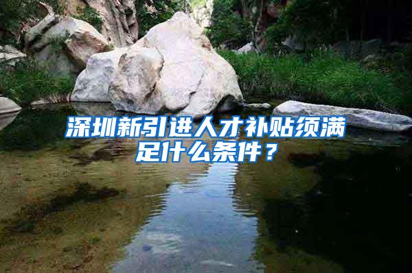 深圳新引进人才补贴须满足什么条件？