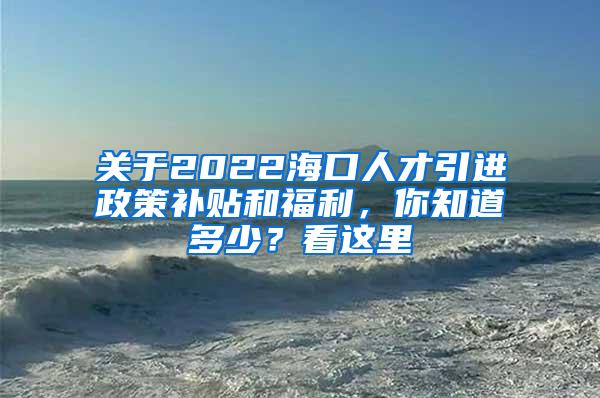 关于2022海口人才引进政策补贴和福利，你知道多少？看这里