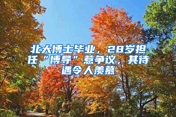北大博士毕业，28岁担任“博导”惹争议，其待遇令人羡慕
