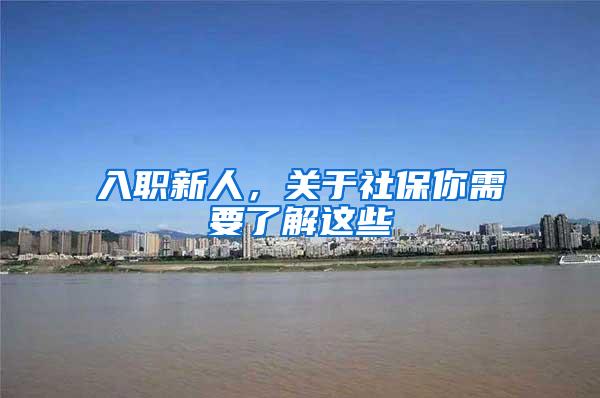 入职新人，关于社保你需要了解这些