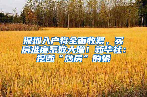 深圳入户将全面收紧，买房难度系数大增！新华社：挖断“炒房”的根