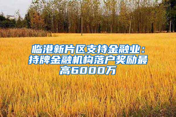 临港新片区支持金融业：持牌金融机构落户奖励最高6000万