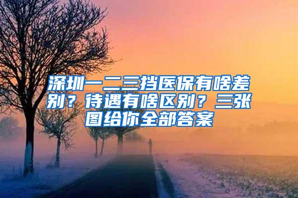 深圳一二三挡医保有啥差别？待遇有啥区别？三张图给你全部答案