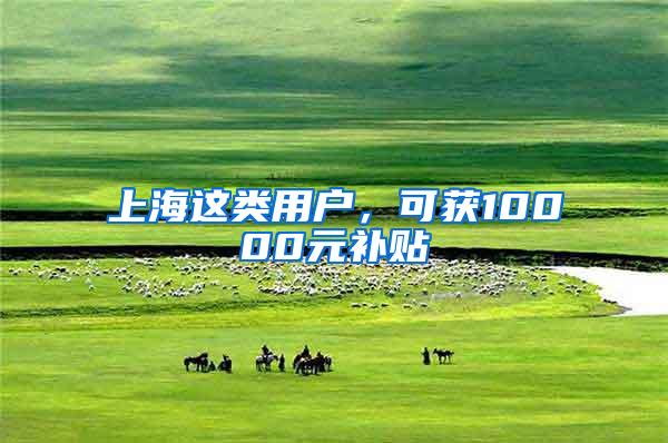 上海这类用户，可获10000元补贴