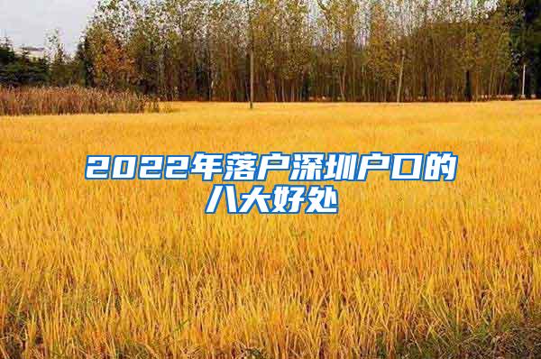 2022年落户深圳户口的八大好处