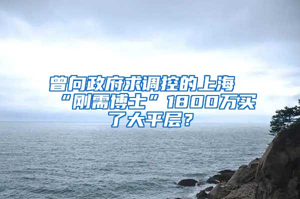 曾向政府求调控的上海“刚需博士”1800万买了大平层？