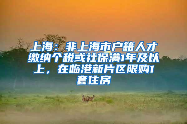 上海：非上海市户籍人才缴纳个税或社保满1年及以上，在临港新片区限购1套住房