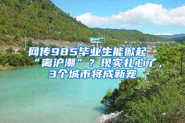 网传985毕业生能掀起“离沪潮”？现实扎心了，3个城市将成新宠