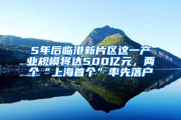 5年后临港新片区这一产业规模将达500亿元，两个“上海首个”率先落户