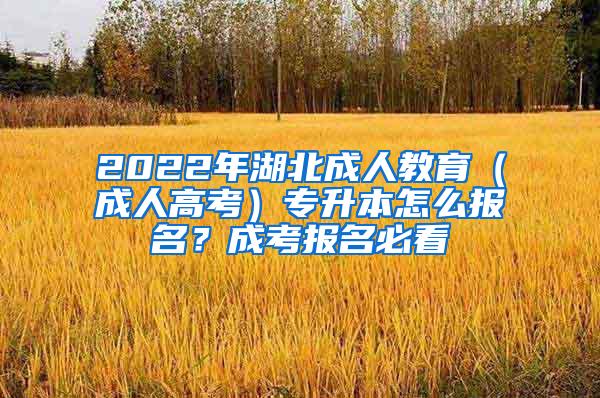 2022年湖北成人教育（成人高考）专升本怎么报名？成考报名必看