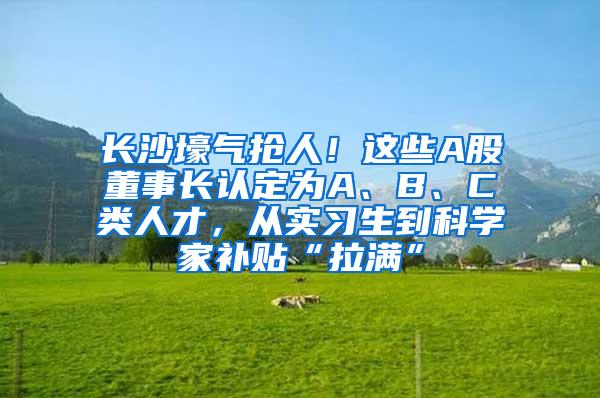 长沙壕气抢人！这些A股董事长认定为A、B、C类人才，从实习生到科学家补贴“拉满”